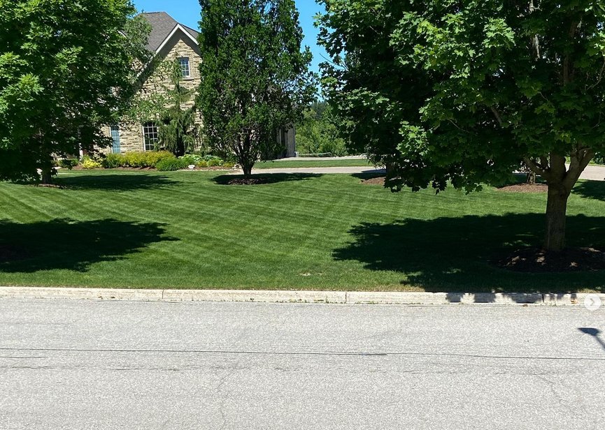 Swaving Landscapes & Design Co. landscaping work