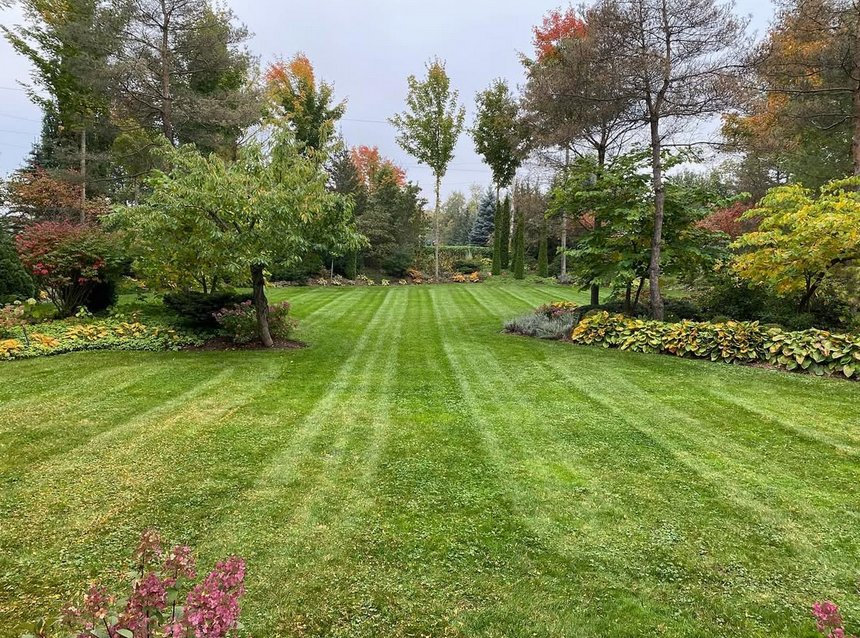 Swaving Landscapes & Design Co. landscaping work
